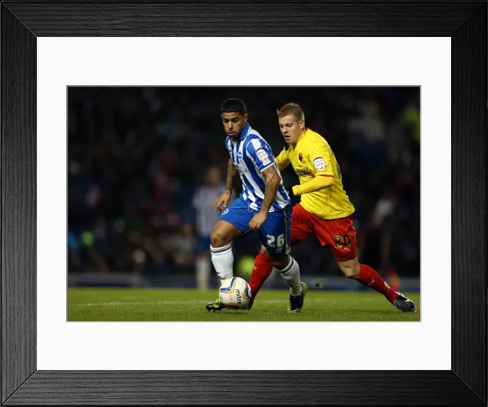Framed Print : Intense Liam Bridcutt Leads Brighton & Hove Albion against Watford in Npower Championship at Amex Stadium (December 29, 2012) Framed Print : Intense Liam Bridcutt Leads Brighton & Hove Albion against Watford in Npower Championship at Amex Stadium (December 29, 2012)