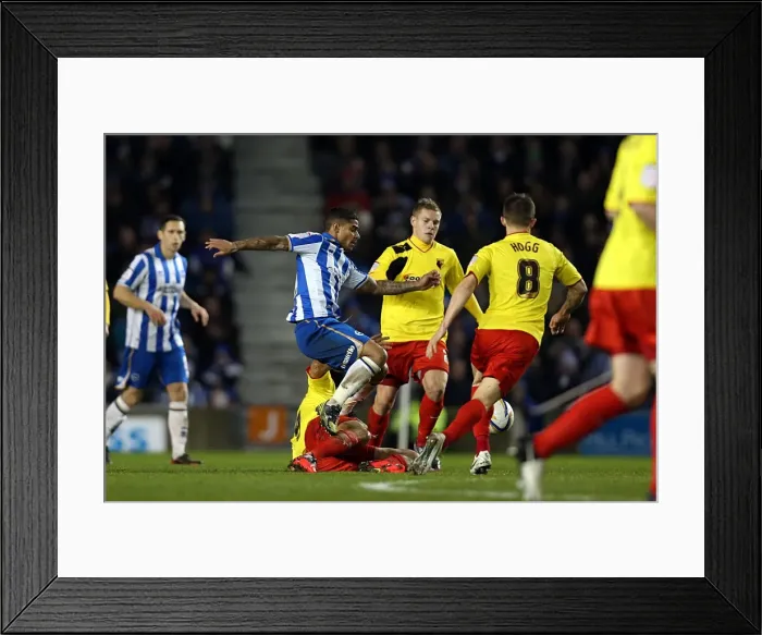 Framed Print : Intense Liam Bridcutt Fueling Brighton & Hove Albion's Championship Battle Against Watford (December 2012) Framed Print : Intense Liam Bridcutt Fueling Brighton & Hove Albion's Championship Battle Against Watford (December 2012)