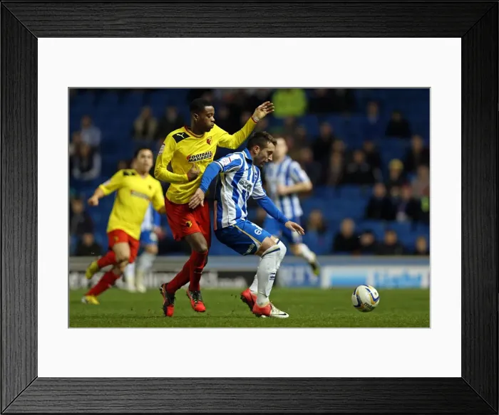 Framed Print : Stephen Dobbie Fends Off Challenge: Brighton & Hove Albion vs. Watford, December 29, 2012 Framed Print : Stephen Dobbie Fends Off Challenge: Brighton & Hove Albion vs. Watford, December 29, 2012
