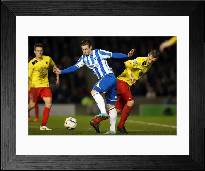 Framed Print : Will Hoskins in Action: Brighton & Hove Albion vs. Watford, Npower Championship, Amex Stadium (December 29, 2012) Framed Print : Will Hoskins in Action: Brighton & Hove Albion vs. Watford, Npower Championship, Amex Stadium (December 29, 2012)