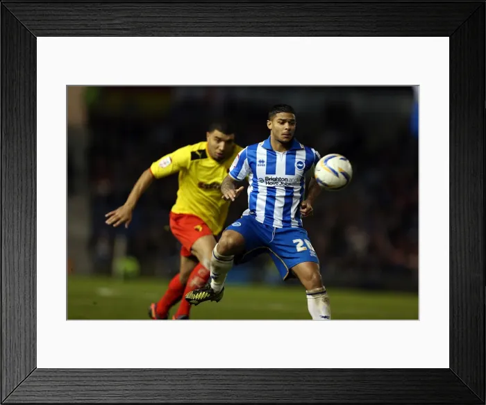 Framed Print : Liam Bridcutt's Intense Performance: Brighton & Hove Albion vs. Watford, Npower Championship, Amex Stadium (December 29, 2012) Framed Print : Liam Bridcutt's Intense Performance: Brighton & Hove Albion vs. Watford, Npower Championship, Amex Stadium (December 29, 2012)