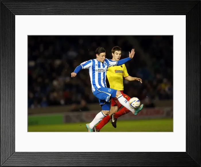 Framed Print : Hoskins Thrills: Brighton & Hove Albion vs. Watford, Npower Championship Showdown at Amex Stadium (December 29, 2012) Framed Print : Hoskins Thrills: Brighton & Hove Albion vs. Watford, Npower Championship Showdown at Amex Stadium (December 29, 2012)