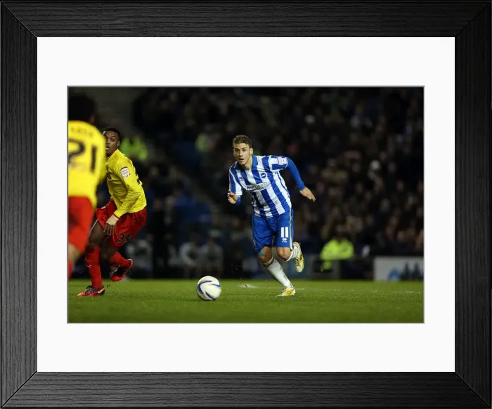 Framed Print : Brighton & Hove Albion vs. Watford (29-12-2012): A Look Back at the 2012-13 Season Home Game Framed Print : Brighton & Hove Albion vs. Watford (29-12-2012): A Look Back at the 2012-13 Season Home Game