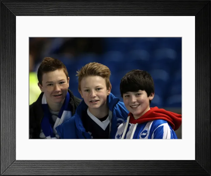 Framed Print : Brighton & Hove Albion: The Electric Amex Stadium Crowd (2012-2013) Framed Print : Brighton & Hove Albion: The Electric Amex Stadium Crowd (2012-2013)