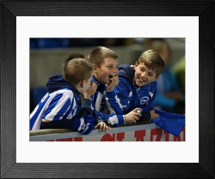 Framed Print : Brighton & Hove Albion vs. Watford (2012-13): A Nostalgic Look Back at Our Past Home Game Framed Print : Brighton & Hove Albion vs. Watford (2012-13): A Nostalgic Look Back at Our Past Home Game
