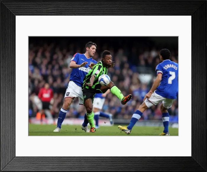 Framed Print : LuaLua in Action: Brighton & Hove Albion vs Ipswich Town, Npower Championship, January 1, 2013 Framed Print : LuaLua in Action: Brighton & Hove Albion vs Ipswich Town, Npower Championship, January 1, 2013