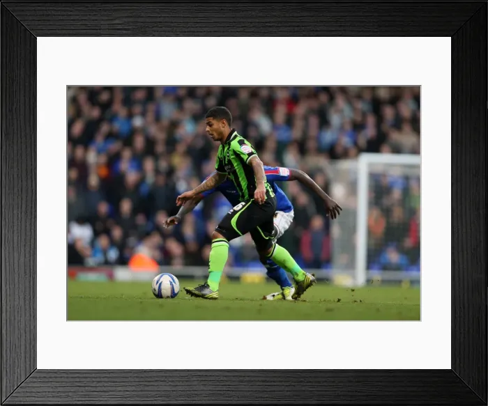 Framed Print : Brighton's Bridcutt in Action: Ipswich Town vs. Brighton & Hove Albion, Npower Championship, January 1, 2013 Framed Print : Brighton's Bridcutt in Action: Ipswich Town vs. Brighton & Hove Albion, Npower Championship, January 1, 2013