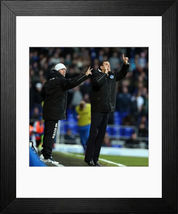 Framed Print : Brighton & Hove Albion vs Ipswich Town: Away Game - 01-01-2013 Framed Print : Brighton & Hove Albion vs Ipswich Town: Away Game - 01-01-2013