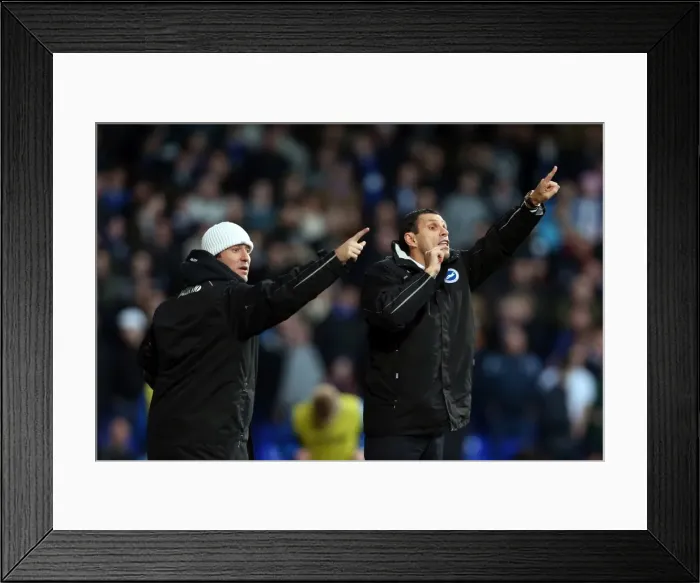 Framed Print : Brighton & Hove Albion Away at Ipswich Town (01-01-2013) Framed Print : Brighton & Hove Albion Away at Ipswich Town (01-01-2013)