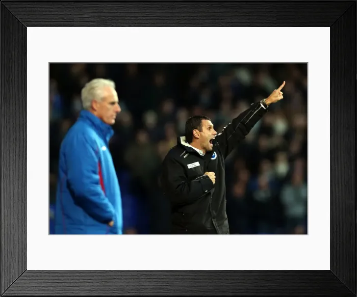 Framed Print : Brighton & Hove Albion vs Ipswich Town: 1-1 Stalemate (Away Game, 2012-13 Season) Framed Print : Brighton & Hove Albion vs Ipswich Town: 1-1 Stalemate (Away Game, 2012-13 Season)