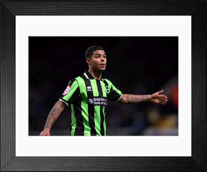 Framed Print : Focused and Ready: Liam Bridcutt of Brighton & Hove Albion FC Framed Print : Focused and Ready: Liam Bridcutt of Brighton & Hove Albion FC