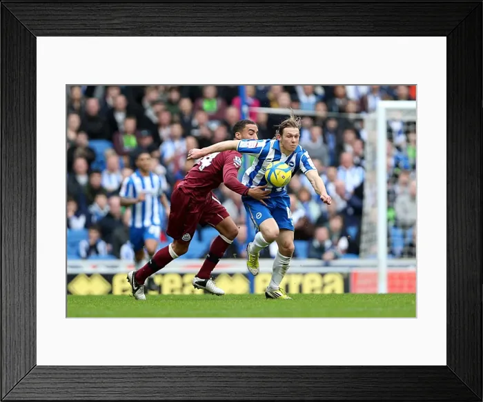 Framed Print : Brighton & Hove Albion's Craig Mackail-Smith Thrills in FA Cup Clash vs Newcastle United (January 5, 2013)