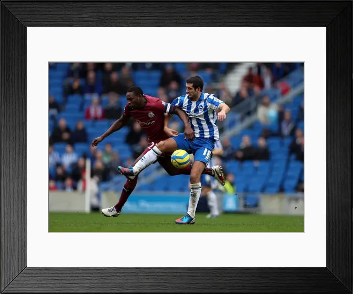 Framed Print : Gary Dicker vs Newcastle Utd: Intense Possession Battle at Brighton & Hove Albion's Amex Stadium, FA Cup 3rd Round, January 5, 2013 Framed Print : Gary Dicker vs Newcastle Utd: Intense Possession Battle at Brighton & Hove Albion's Amex Stadium, FA Cup 3rd Round, January 5, 2013
