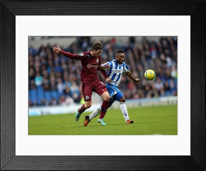 Framed Print : Kazenga LuaLua's FA Cup Thriller: Brighton & Hove Albion vs Newcastle United, January 5, 2013