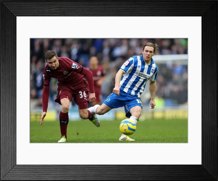 Framed Print : Brighton & Hove Albion vs. Newcastle United (05-01-2013): A Peek into the 2012-13 Home Season Framed Print : Brighton & Hove Albion vs. Newcastle United (05-01-2013): A Peek into the 2012-13 Home Season