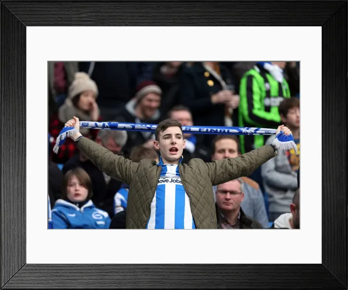 Framed Print : Brighton & Hove Albion vs. Newcastle United (05-01-2013): A Peek into the 2012-13 Home Season Framed Print : Brighton & Hove Albion vs. Newcastle United (05-01-2013): A Peek into the 2012-13 Home Season