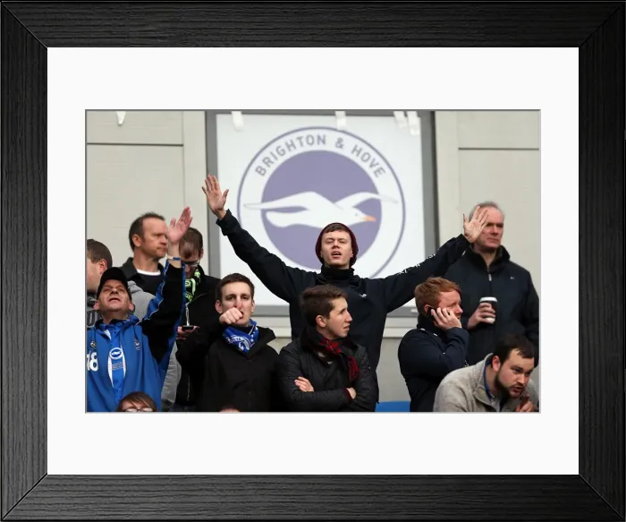 Framed Print : Brighton & Hove Albion vs. Newcastle United (05-01-2013) - A Glimpse into Our 2012-13 Home Season Framed Print : Brighton & Hove Albion vs. Newcastle United (05-01-2013) - A Glimpse into Our 2012-13 Home Season