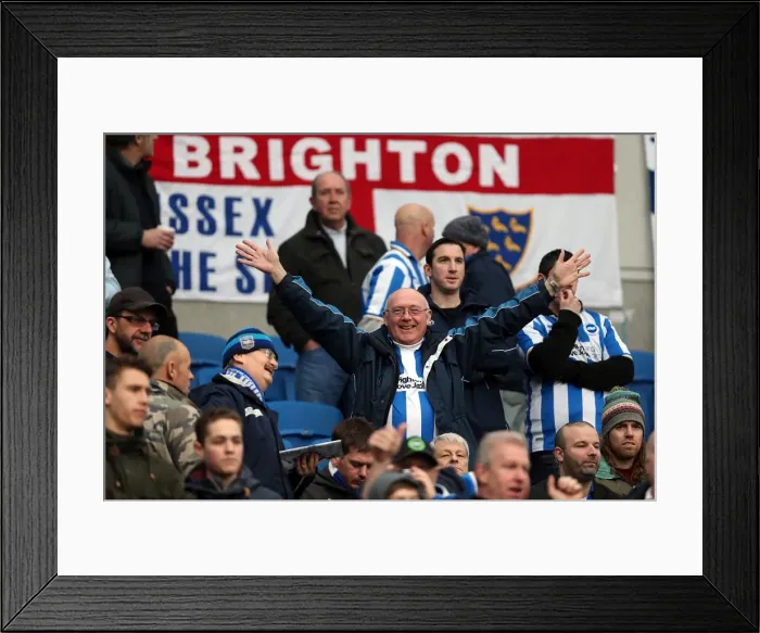 Framed Print : Reliving the Glory: Brighton & Hove Albion's Unforgettable 5-0 Victory over Newcastle United (5-1-2013) Framed Print : Reliving the Glory: Brighton & Hove Albion's Unforgettable 5-0 Victory over Newcastle United (5-1-2013)
