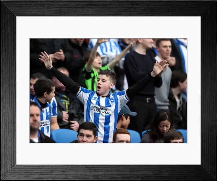 Framed Print : Brighton & Hove Albion vs. Newcastle United (05-01-2013): A Peek into the 2012-13 Home Season Framed Print : Brighton & Hove Albion vs. Newcastle United (05-01-2013): A Peek into the 2012-13 Home Season