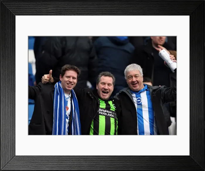 Framed Print : Brighton & Hove Albion vs. Newcastle United (05-01-2013): A Glimpse into the 2012-13 Home Season