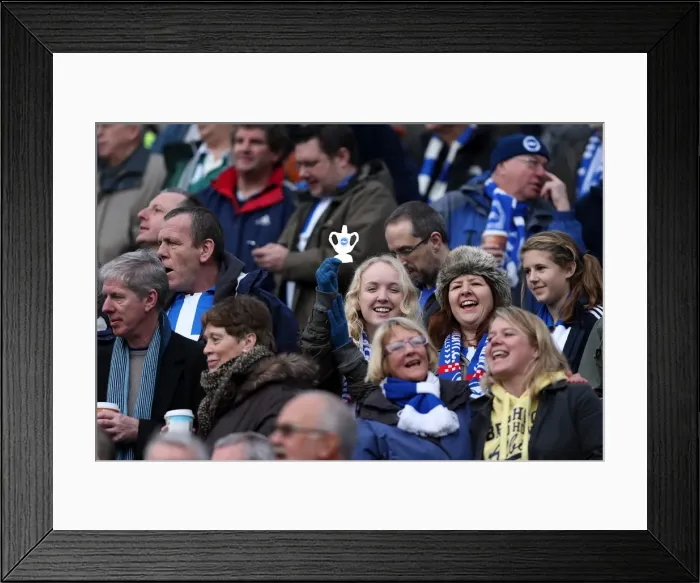 Framed Print : Brighton & Hove Albion vs. Newcastle United (05-01-2013) - A Glimpse into the 2012-13 Home Season