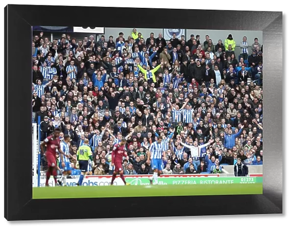 Brighton & Hove Albion vs. Newcastle United (05-01-2013): A Glimpse into the 2012-13 Home Season