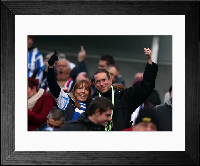 Framed Print : Brighton & Hove Albion vs. Newcastle United (05-01-2013) - A Glimpse into the 2012-13 Home Season Framed Print : Brighton & Hove Albion vs. Newcastle United (05-01-2013) - A Glimpse into the 2012-13 Home Season