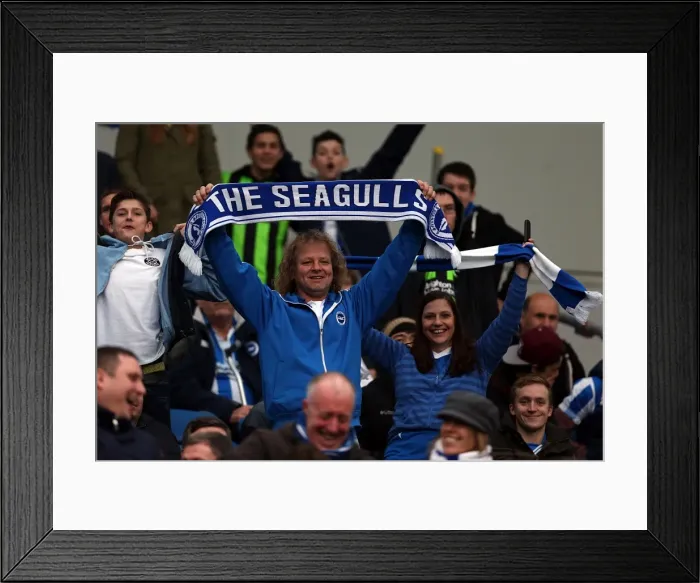Framed Print : Brighton & Hove Albion vs. Newcastle United (05-01-2013): A Look Back at Our 2012-13 Home Season Framed Print : Brighton & Hove Albion vs. Newcastle United (05-01-2013): A Look Back at Our 2012-13 Home Season