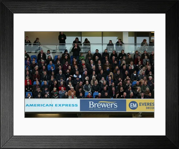 Framed Print : A Glimpse into the 2012-13 Brighton & Hove Albion Home Season: Newcastle United (5-1-2013) Framed Print : A Glimpse into the 2012-13 Brighton & Hove Albion Home Season: Newcastle United (5-1-2013)