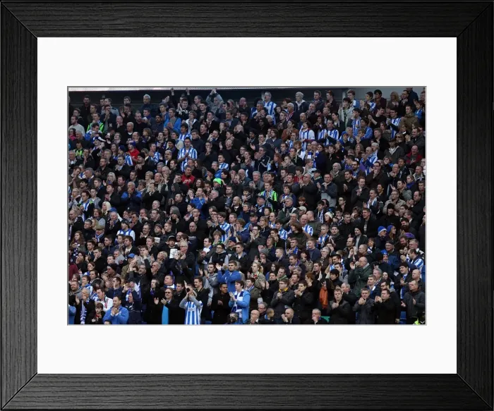 Framed Print : Brighton & Hove Albion vs. Newcastle United (05-01-2013): A Glimpse into the 2012-13 Home Season