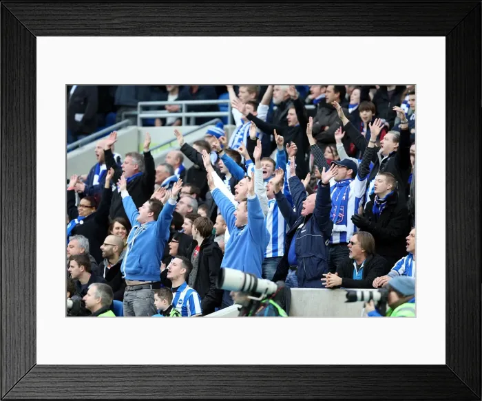 Framed Print : Brighton & Hove Albion vs. Newcastle United (05-01-2013): A Glimpse into the 2012-13 Home Season Framed Print : Brighton & Hove Albion vs. Newcastle United (05-01-2013): A Glimpse into the 2012-13 Home Season
