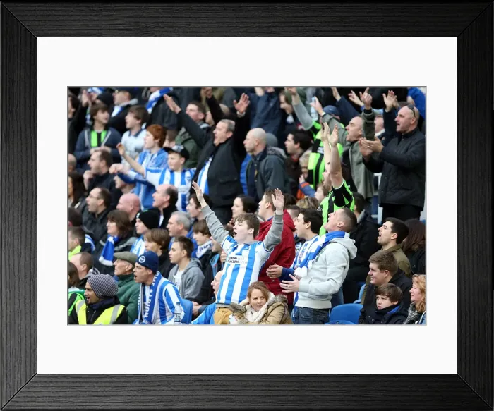 Framed Print : Brighton & Hove Albion vs. Newcastle United (05-01-2013): A Glimpse into the 2012-13 Home Season Framed Print : Brighton & Hove Albion vs. Newcastle United (05-01-2013): A Glimpse into the 2012-13 Home Season