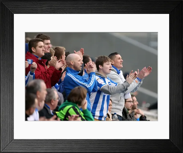 Framed Print : Brighton & Hove Albion vs. Newcastle United (05-01-2013): A Glimpse into the 2012-13 Home Season
