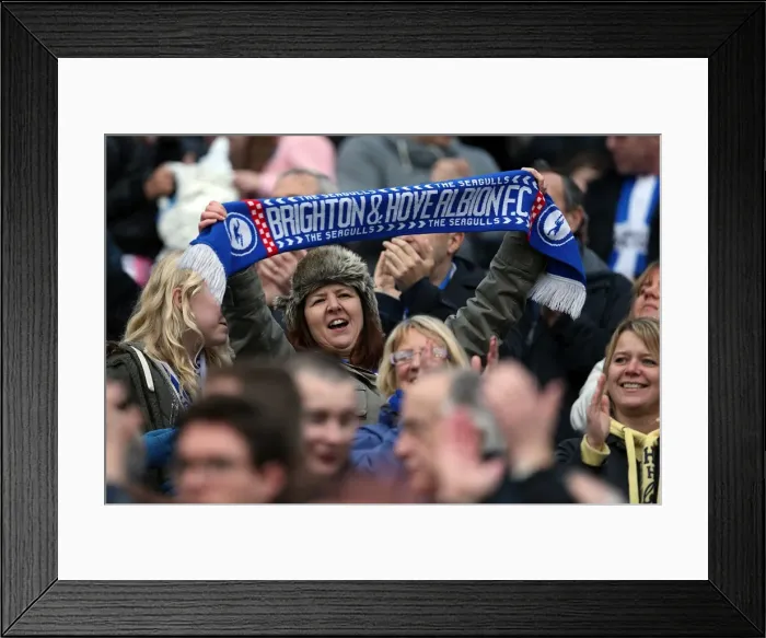 Framed Print : Brighton & Hove Albion vs. Newcastle United (05-01-2013): A Glance at Our 2012-13 Home Season Framed Print : Brighton & Hove Albion vs. Newcastle United (05-01-2013): A Glance at Our 2012-13 Home Season