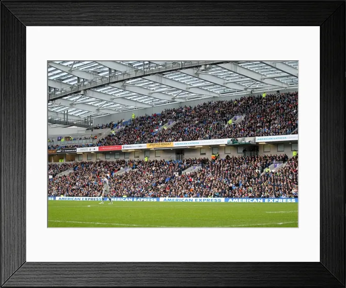Framed Print : Brighton & Hove Albion vs. Newcastle United (05-01-2013): A Peek into the 2012-13 Home Campaign