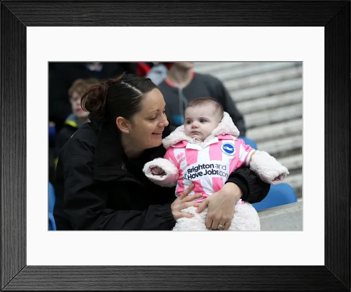 Framed Print : Brighton & Hove Albion vs. Newcastle United (05-01-2013): A Look Back at Our 2012-13 Home Season Framed Print : Brighton & Hove Albion vs. Newcastle United (05-01-2013): A Look Back at Our 2012-13 Home Season