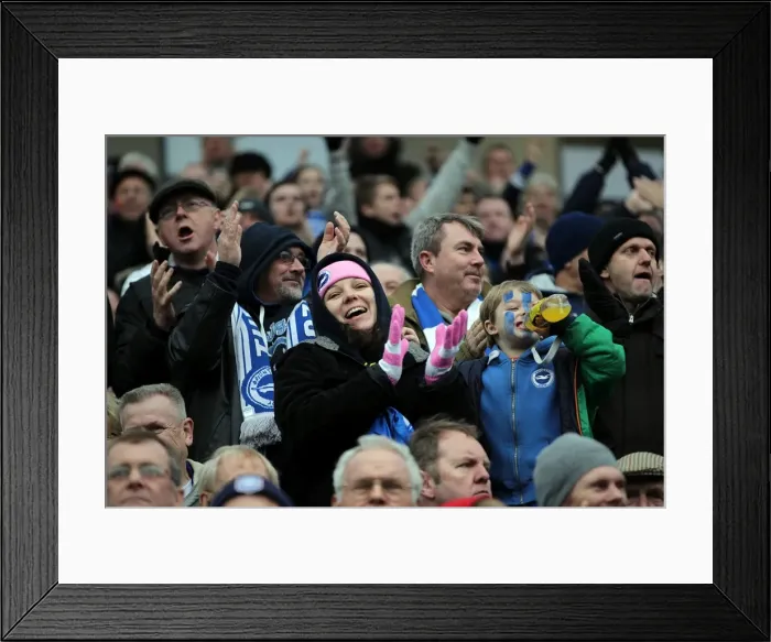 Framed Print : A Glimpse into Brighton & Hove Albion's 2012-13 Home Season: Newcastle United (05-01-2013) Framed Print : A Glimpse into Brighton & Hove Albion's 2012-13 Home Season: Newcastle United (05-01-2013)