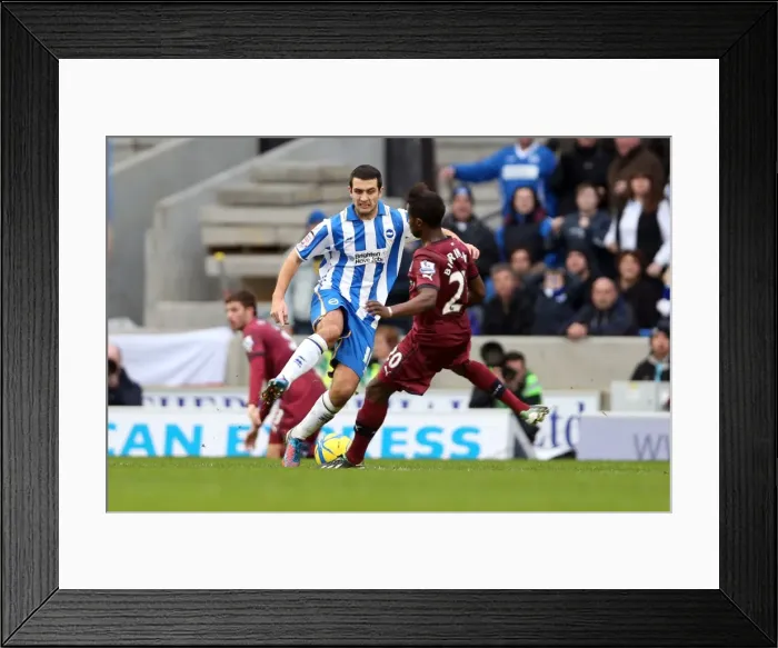 Framed Print : Brighton & Hove Albion vs. Newcastle United (05-01-2013) - A Glimpse into the 2012-13 Home Season
