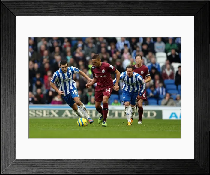 Framed Print : Brighton & Hove Albion vs. Newcastle United (05-01-2013): A Peek into the 2012-13 Home Season Framed Print : Brighton & Hove Albion vs. Newcastle United (05-01-2013): A Peek into the 2012-13 Home Season