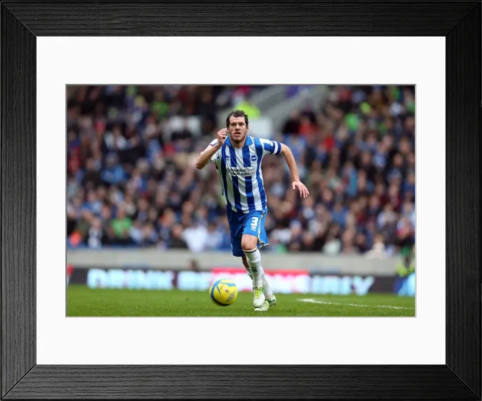 Framed Print : Brighton & Hove Albion vs. Newcastle United (05-01-2013): A Glimpse into the 2012-13 Home Season Framed Print : Brighton & Hove Albion vs. Newcastle United (05-01-2013): A Glimpse into the 2012-13 Home Season