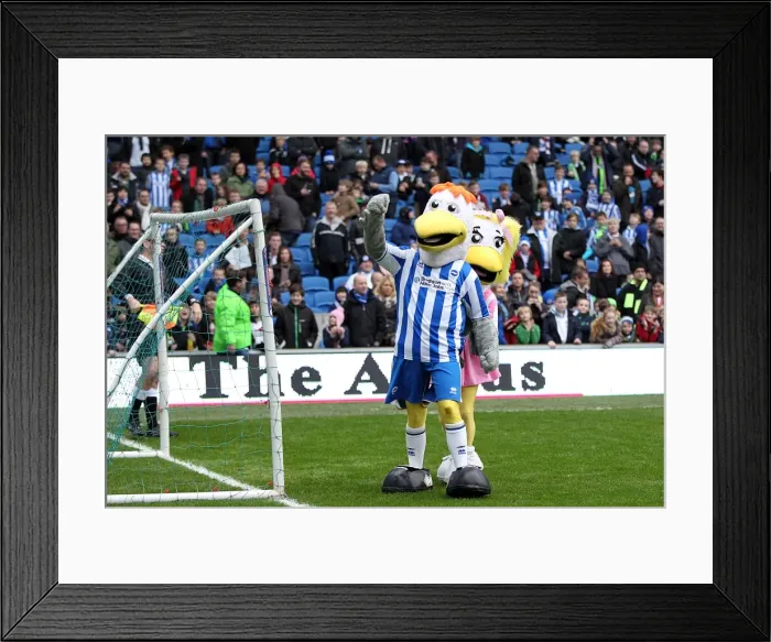 Framed Print : Brighton & Hove Albion vs. Newcastle United (05-01-2013): A Glimpse into the 2012-13 Home Season