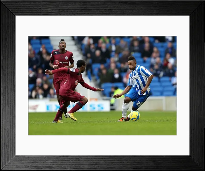 Framed Print : Brighton & Hove Albion vs. Newcastle United (05-01-2013) - A Look Back at the 2012-13 Home Season Framed Print : Brighton & Hove Albion vs. Newcastle United (05-01-2013) - A Look Back at the 2012-13 Home Season