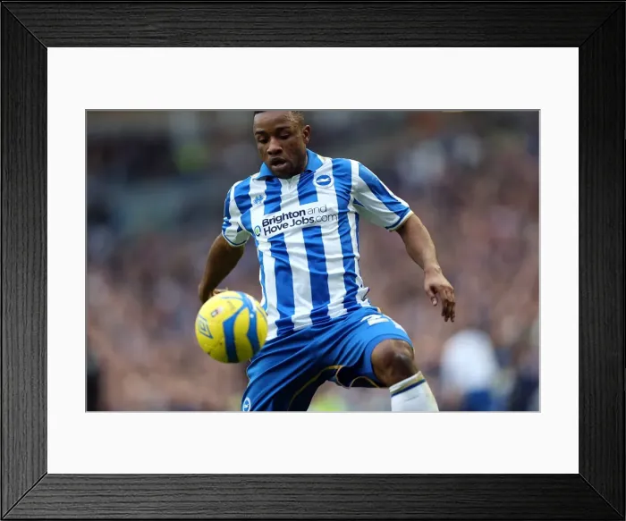Framed Print : Brighton & Hove Albion vs. Newcastle United (05-01-2013): A Peek at Our 2012-13 Home Season Framed Print : Brighton & Hove Albion vs. Newcastle United (05-01-2013): A Peek at Our 2012-13 Home Season