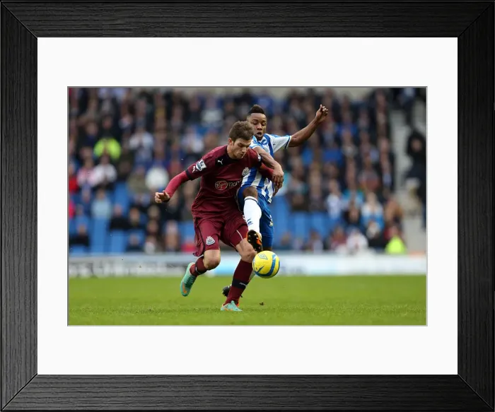 Framed Print : Brighton & Hove Albion vs. Newcastle United (05-01-2013): A Glimpse into the 2012-13 Home Season Framed Print : Brighton & Hove Albion vs. Newcastle United (05-01-2013): A Glimpse into the 2012-13 Home Season