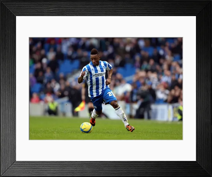 Framed Print : Brighton & Hove Albion vs. Newcastle United (05-01-2013) - A Peek into the 2012-13 Home Season