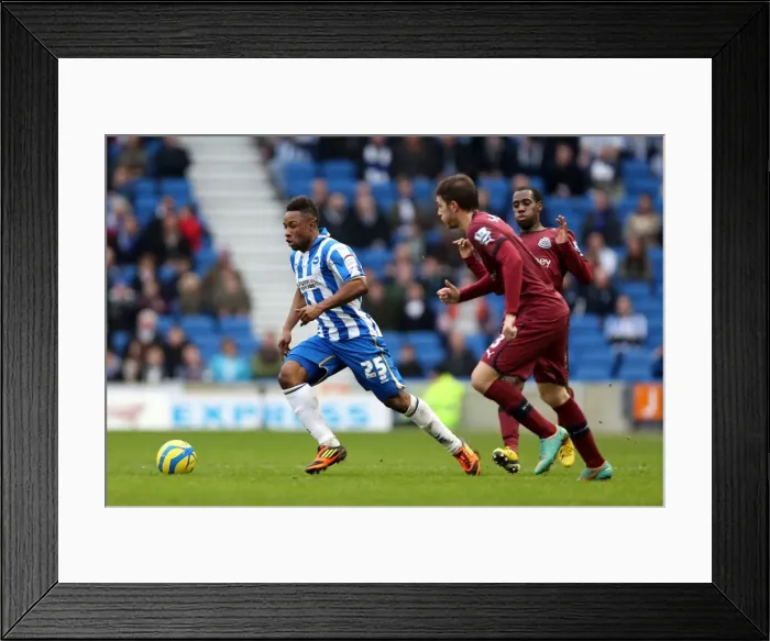 Framed Print : Brighton & Hove Albion vs. Newcastle United (05-01-2013): A Glance at Our 2012-13 Home Season Framed Print : Brighton & Hove Albion vs. Newcastle United (05-01-2013): A Glance at Our 2012-13 Home Season