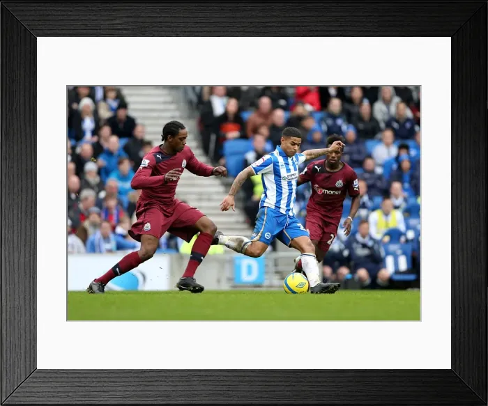 Framed Print : Brighton & Hove Albion vs. Newcastle United (05-01-2013): A Glance at Our 2012-13 Home Season