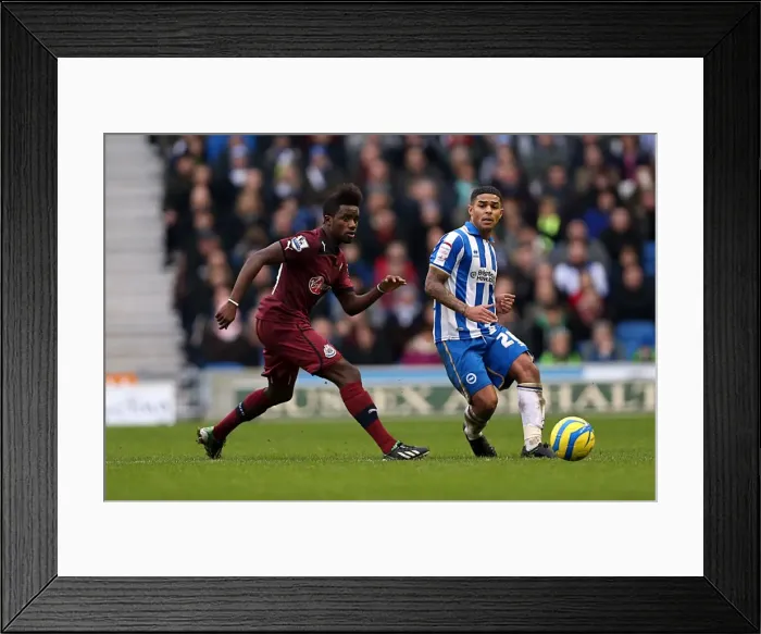 Framed Print : Brighton & Hove Albion vs. Newcastle United (05-01-2013): A Glimpse into the 2012-13 Home Season Framed Print : Brighton & Hove Albion vs. Newcastle United (05-01-2013): A Glimpse into the 2012-13 Home Season
