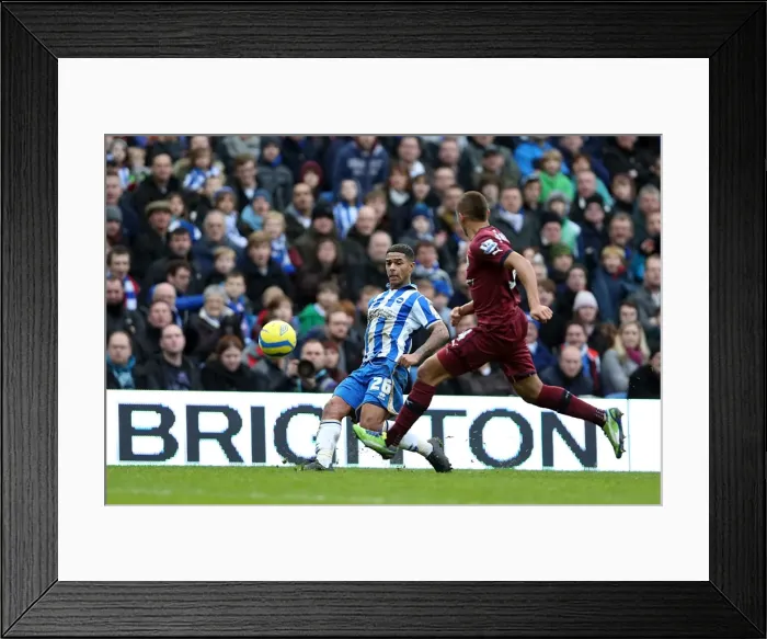 Framed Print : Brighton & Hove Albion vs. Newcastle United (05-01-2013): A Glimpse into the 2012-13 Home Season