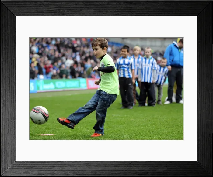 Framed Print : Brighton & Hove Albion vs. Newcastle United (05-01-2013): A Glimpse into the 2012-13 Home Season